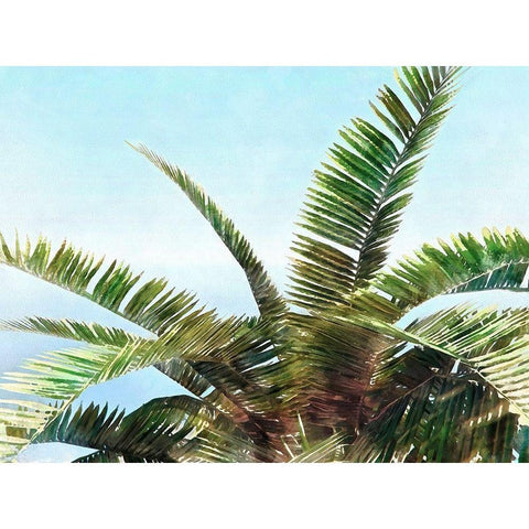 Pleasant Palms I Black Modern Wood Framed Art Print by Saunders, Alonzo
