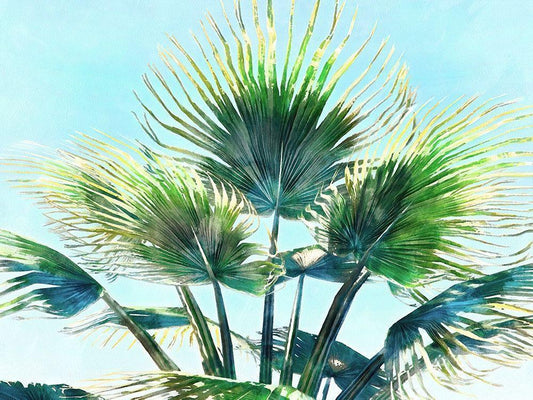 Image Only