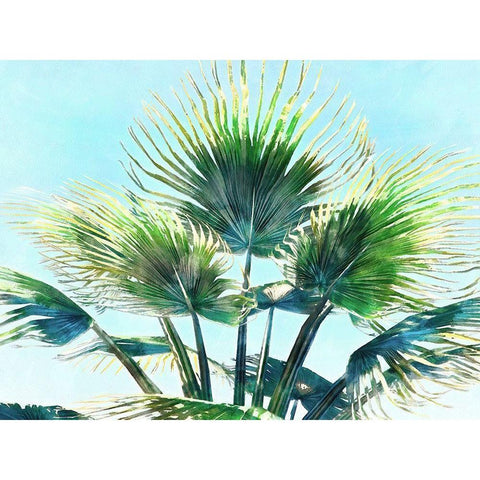 Pleasant Palms II Black Modern Wood Framed Art Print with Double Matting by Saunders, Alonzo