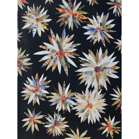 Starburst Too II Black Modern Wood Framed Art Print with Double Matting by Avondet, Natalie