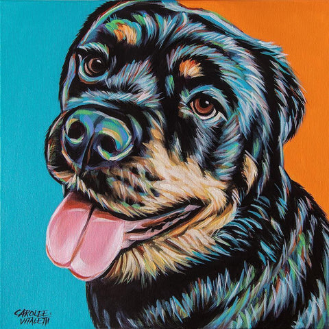 Rottweiler I Black Modern Wood Framed Art Print with Double Matting by Vitaletti, Carolee