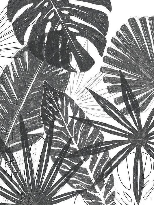 Image Only