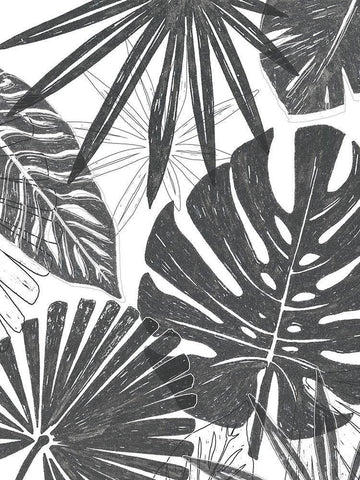 Palm Shadows II White Modern Wood Framed Art Print with Double Matting by Vess, June Erica