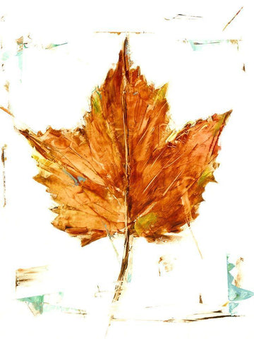 Autumn Leaf Study I White Modern Wood Framed Art Print with Double Matting by Harper, Ethan