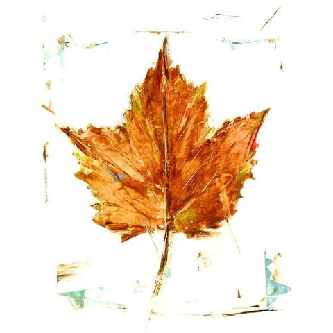 Autumn Leaf Study I Black Modern Wood Framed Art Print with Double Matting by Harper, Ethan