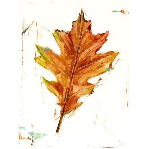 Autumn Leaf Study II Black Modern Wood Framed Art Print by Harper, Ethan