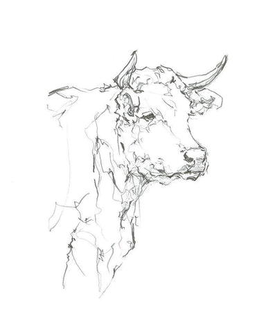 Bovine Quick Study I White Modern Wood Framed Art Print with Double Matting by Harper, Ethan