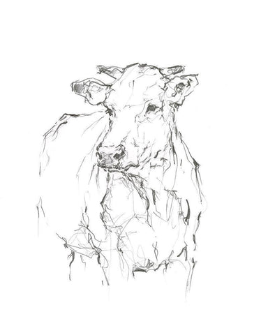 Bovine Quick Study II Black Ornate Wood Framed Art Print with Double Matting by Harper, Ethan