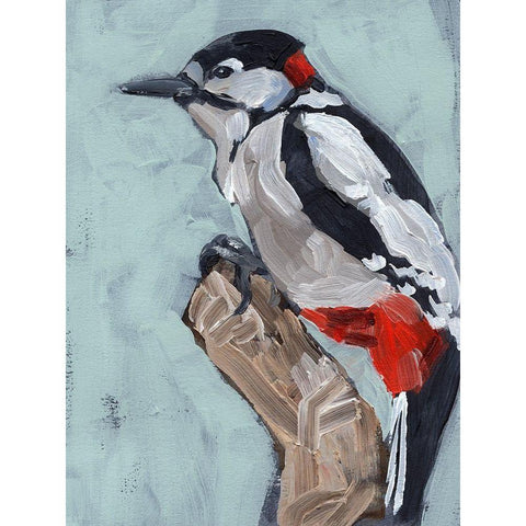 Woodpecker Paintstrokes I Black Modern Wood Framed Art Print with Double Matting by Parker, Jennifer Paxton