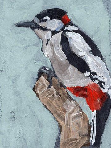 Woodpecker Paintstrokes I White Modern Wood Framed Art Print with Double Matting by Parker, Jennifer Paxton