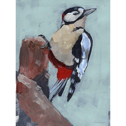 Woodpecker Paintstrokes II Black Modern Wood Framed Art Print with Double Matting by Parker, Jennifer Paxton