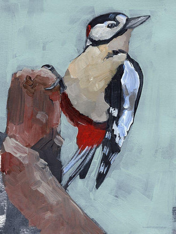 Woodpecker Paintstrokes II White Modern Wood Framed Art Print with Double Matting by Parker, Jennifer Paxton