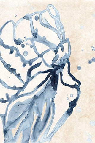 Water Shells I White Modern Wood Framed Art Print with Double Matting by Vess, June Erica