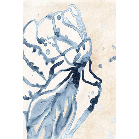 Water Shells I Black Modern Wood Framed Art Print with Double Matting by Vess, June Erica