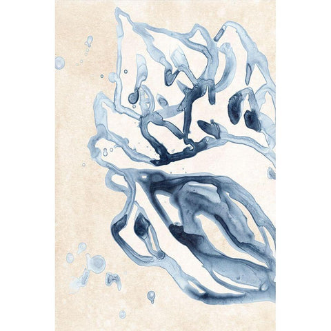 Water Shells II Black Modern Wood Framed Art Print with Double Matting by Vess, June Erica