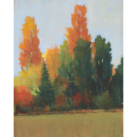 Fall Colors I Black Modern Wood Framed Art Print with Double Matting by OToole, Tim