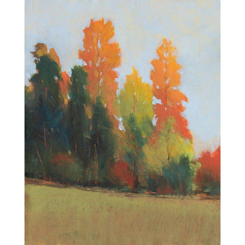 Fall Colors II Black Modern Wood Framed Art Print with Double Matting by OToole, Tim