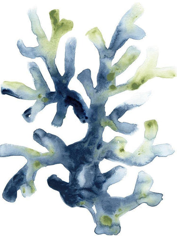 Liquid Coral I Black Ornate Wood Framed Art Print with Double Matting by Vess, June Erica