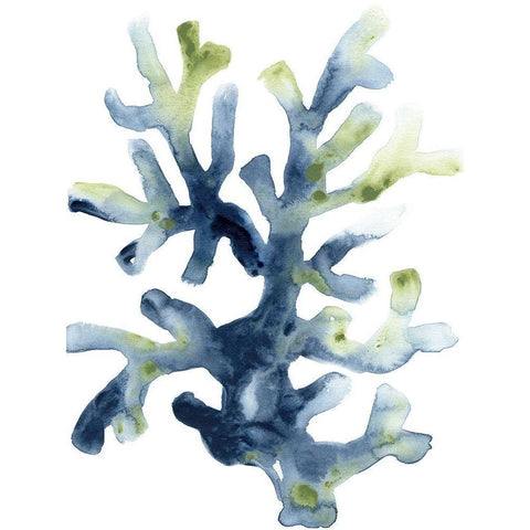 Liquid Coral I Black Modern Wood Framed Art Print with Double Matting by Vess, June Erica