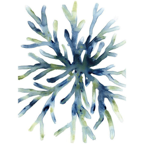 Liquid Coral II White Modern Wood Framed Art Print by Vess, June Erica