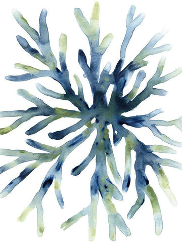 Liquid Coral II White Modern Wood Framed Art Print with Double Matting by Vess, June Erica