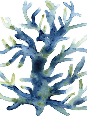 Liquid Coral III White Modern Wood Framed Art Print with Double Matting by Vess, June Erica