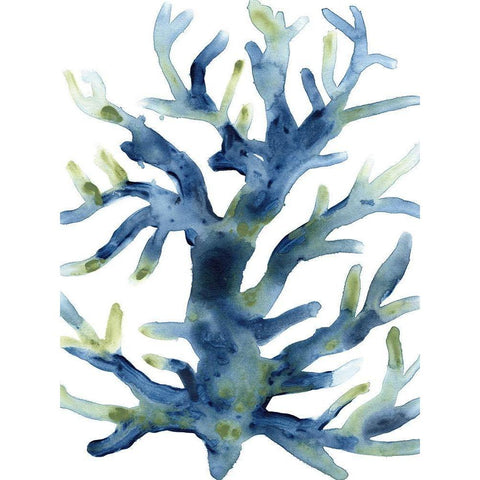 Liquid Coral III Black Modern Wood Framed Art Print with Double Matting by Vess, June Erica