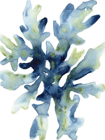 Liquid Coral IV White Modern Wood Framed Art Print with Double Matting by Vess, June Erica