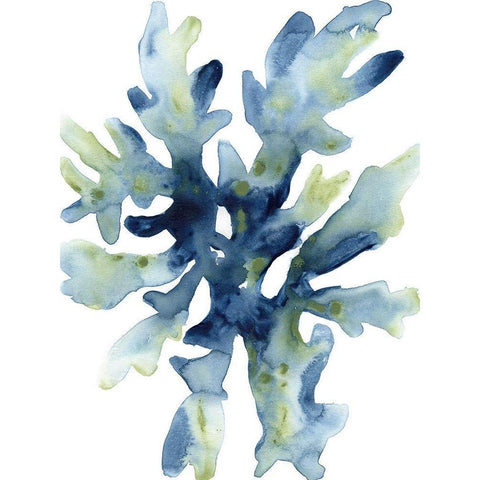 Liquid Coral IV White Modern Wood Framed Art Print by Vess, June Erica