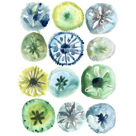 Sea Urchin Assortment II White Modern Wood Framed Art Print by Vess, June Erica