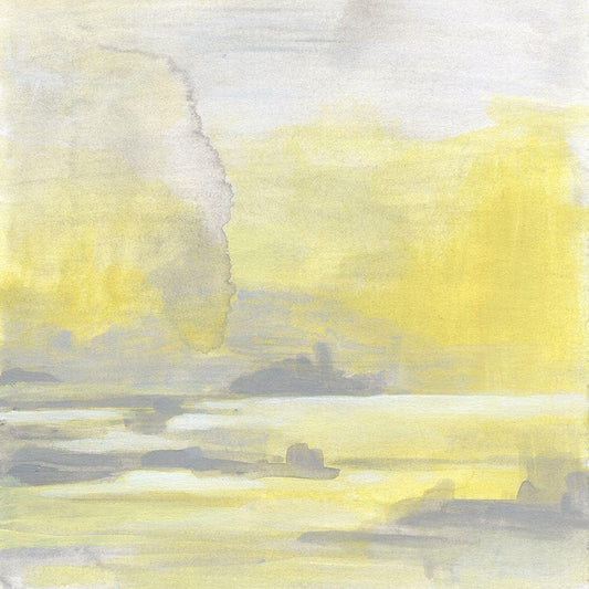 Image Only