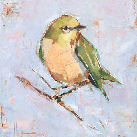 Bird Variety II Gold Ornate Wood Framed Art Print with Double Matting by Harper, Ethan