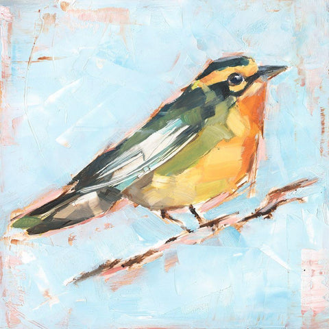 Bird Variety IV White Modern Wood Framed Art Print with Double Matting by Harper, Ethan