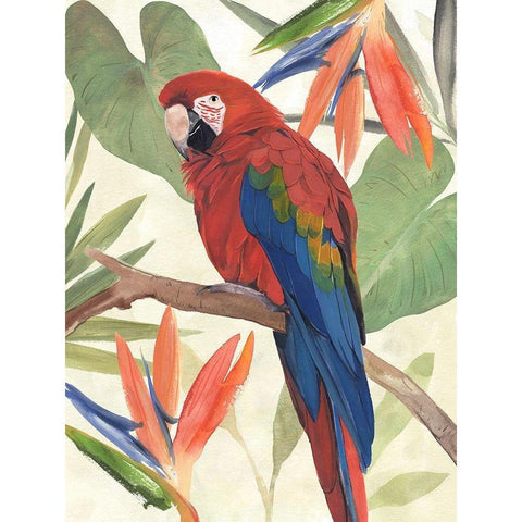 Tropical Parrot Composition II Gold Ornate Wood Framed Art Print with Double Matting by Warren, Annie