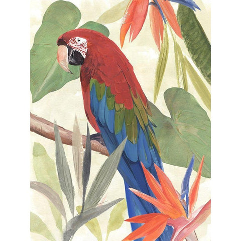 Tropical Parrot Composition III Black Modern Wood Framed Art Print by Warren, Annie