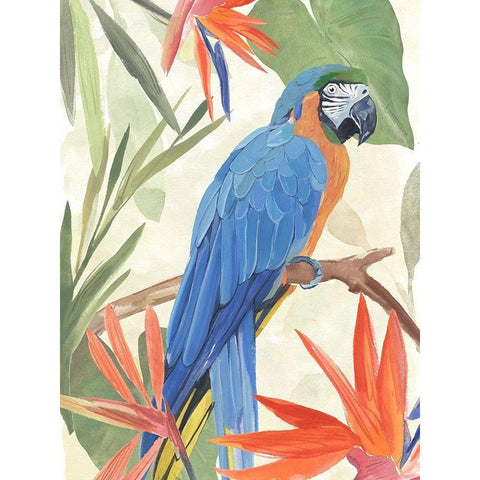 Tropical Parrot Composition IV Gold Ornate Wood Framed Art Print with Double Matting by Warren, Annie