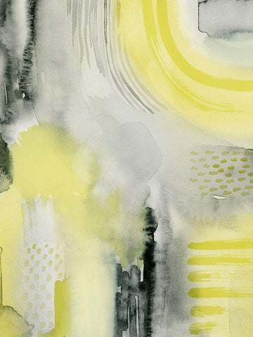 Lemon and Grit II Black Ornate Wood Framed Art Print with Double Matting by Popp, Grace