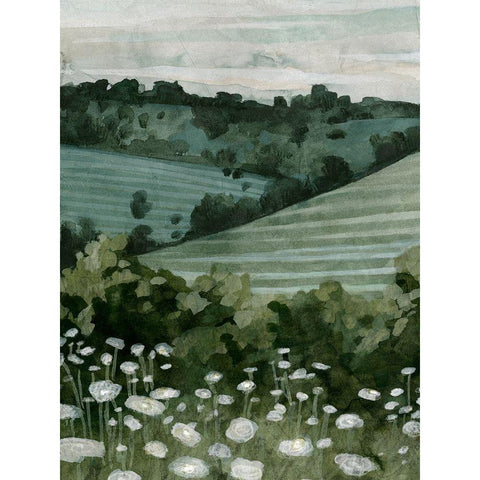 Rolling Pasture I Black Modern Wood Framed Art Print with Double Matting by Caroline, Emma