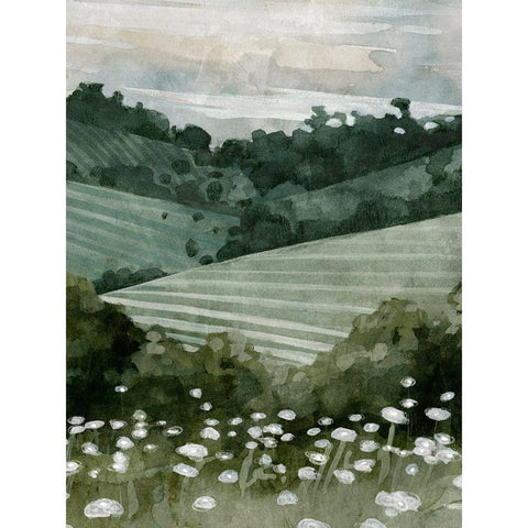 Rolling Pasture II Black Modern Wood Framed Art Print by Caroline, Emma
