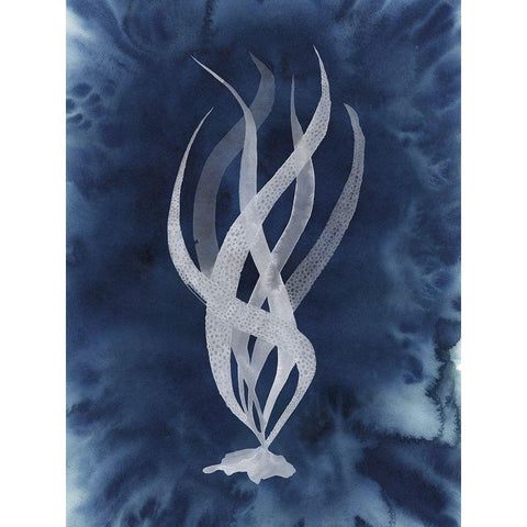 Midnight Kelp II White Modern Wood Framed Art Print by Popp, Grace