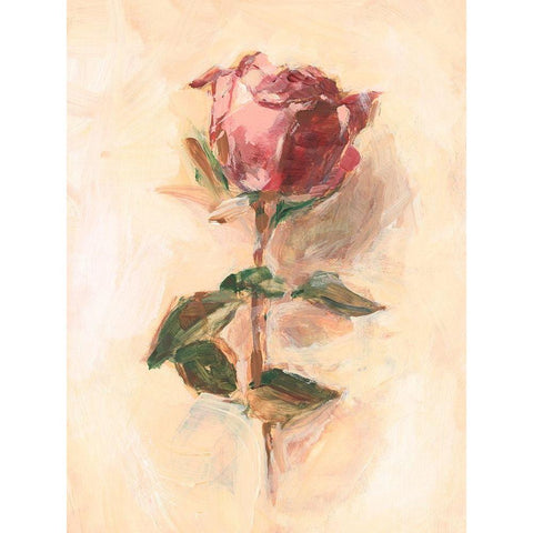 Painterly Rose Study I Gold Ornate Wood Framed Art Print with Double Matting by Harper, Ethan