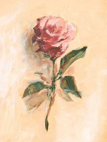 Painterly Rose Study II Black Ornate Wood Framed Art Print with Double Matting by Harper, Ethan