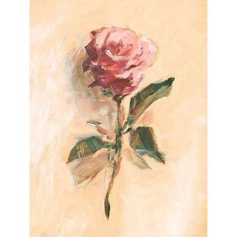 Painterly Rose Study II Black Modern Wood Framed Art Print by Harper, Ethan