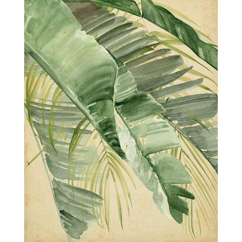 Banana Palms I Black Modern Wood Framed Art Print with Double Matting by Parker, Jennifer Paxton