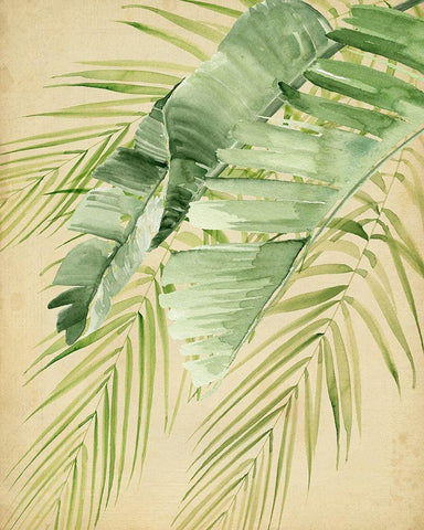 Banana Palms II Black Ornate Wood Framed Art Print with Double Matting by Parker, Jennifer Paxton