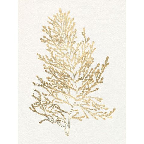 Gilded Algae IV White Modern Wood Framed Art Print by Goldberger, Jennifer