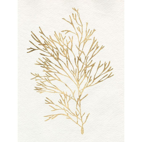 Gilded Algae VII Black Modern Wood Framed Art Print with Double Matting by Goldberger, Jennifer