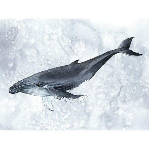 Deep Diver I Gold Ornate Wood Framed Art Print with Double Matting by Popp, Grace