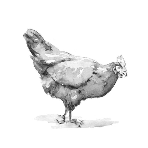Barn Fowl II White Modern Wood Framed Art Print by Caroline, Emma
