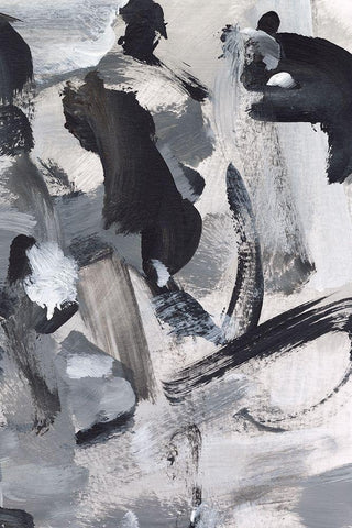 Black and White Mix IV White Modern Wood Framed Art Print with Double Matting by Long, Christina